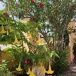 Apartahotel Makris *
