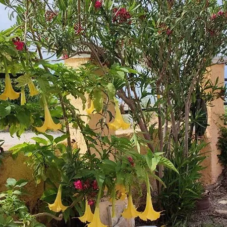 Hotel apartamentowy Makris *